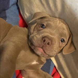 Meet your Posher, Angelica